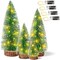 4pcs Mini Christmas Trees with Light, Artificial Christmas Tree Bottle Brush Trees with Wooden Base for Christmas Decor